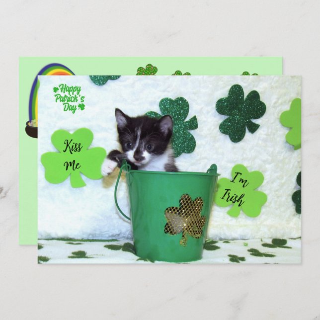 Foxi Moxi's Cat / Kitten St. Patrick's Day (Vorne/Hinten)