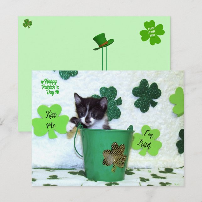 Foxie Cat St. Patrick's Day Card Postkarte (Vorne/Hinten)