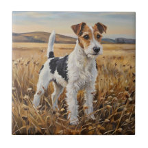 Foxterrier
