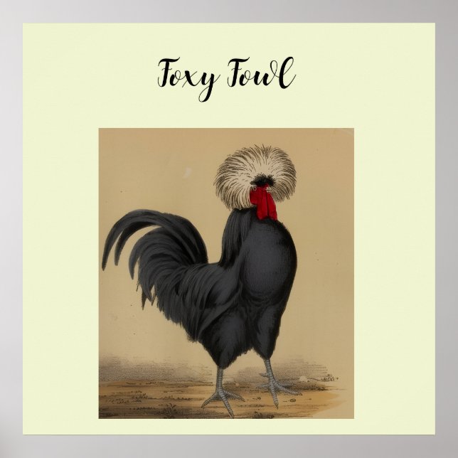 Foxy Fowl  Poster (Vorne)
