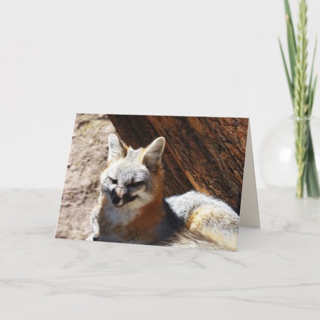 Foxy, leere Grußkarte Karte (Vorderseite)