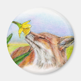 Foxy Magnet