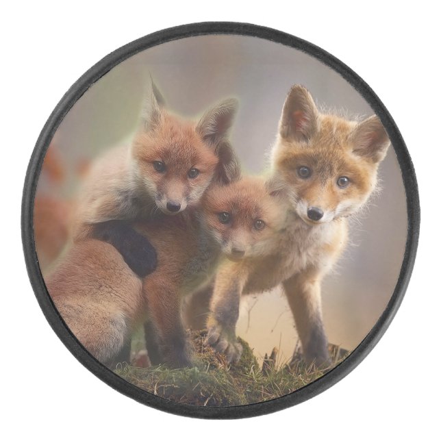 Foxy-Triplets Eishockey Puck (Vorderseite)