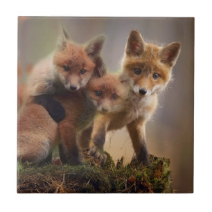 Foxy-Triplets Fliese