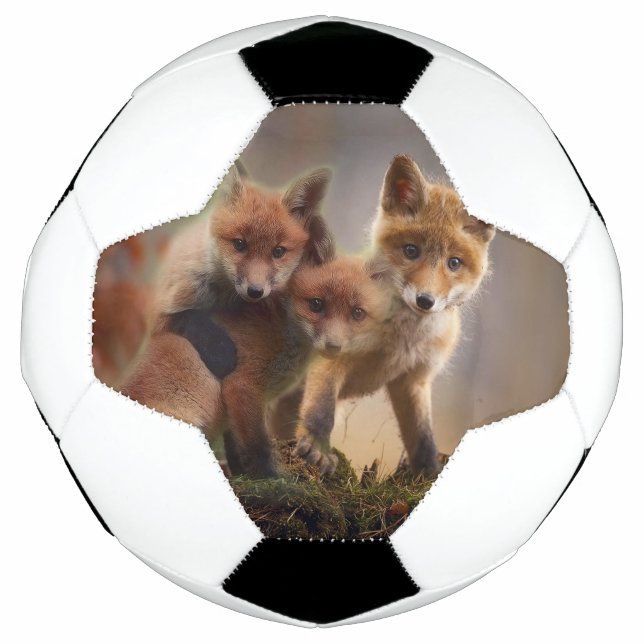 Foxy-Triplets Fußball (Vorderseite)
