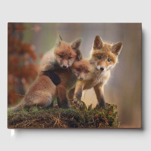Foxy-Triplets Gästebuch