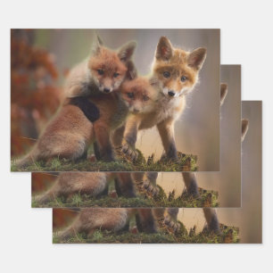 Foxy-Triplets Geschenkpapier Set