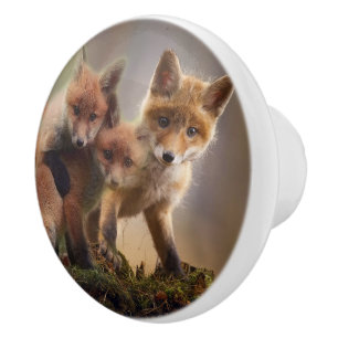 Foxy-Triplets Keramikknauf