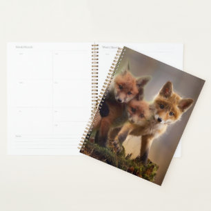 Foxy-Triplets Planer