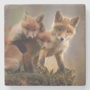 Foxy-Triplets Steinuntersetzer