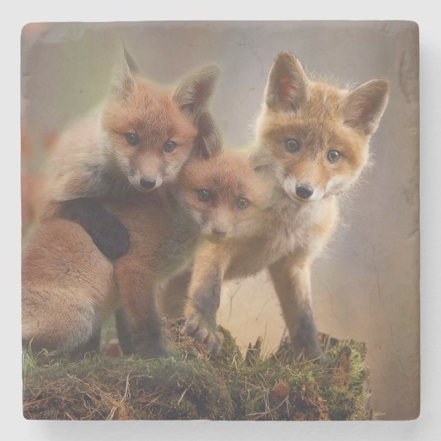 Foxy-Triplets Steinuntersetzer (Vorderseite)
