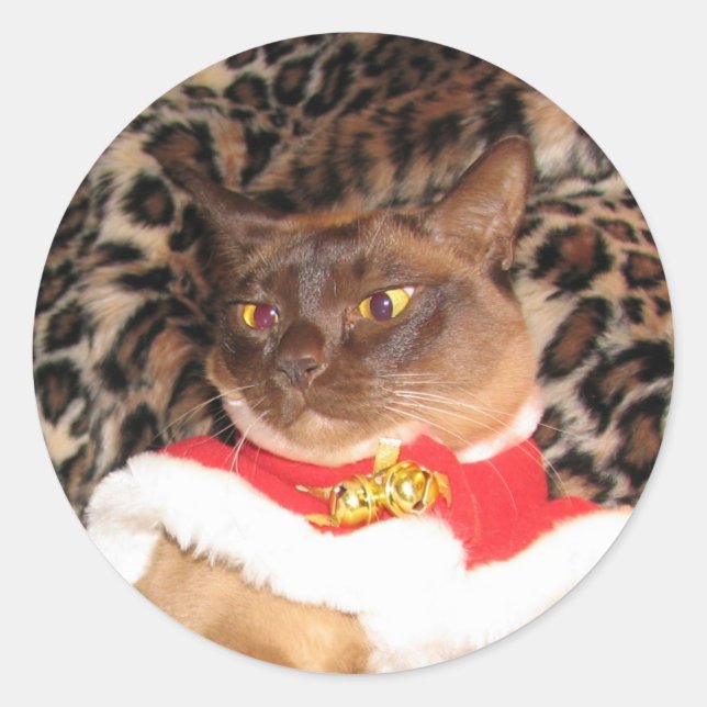 FPG Xmas Burmese 2 - Runder Aufkleber (Vorderseite)