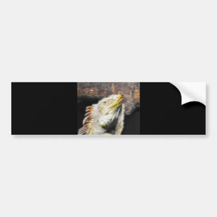 Fracguana Autoaufkleber
