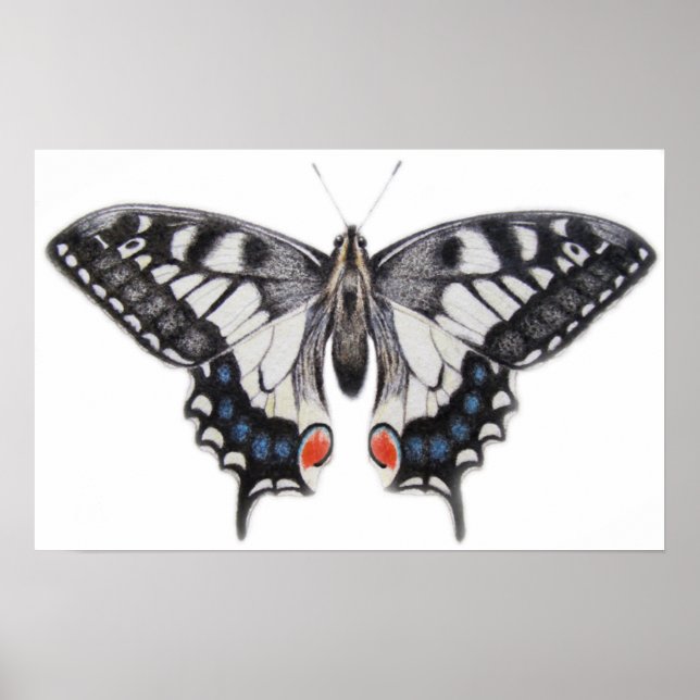 Frack 2012 poster (Vorne)