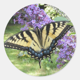 Frack 94 ~ Aufkleber