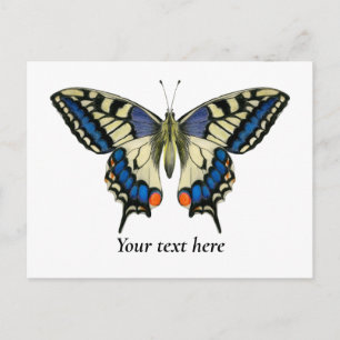 Frack Butterfly Aquarellbilder Postkarte