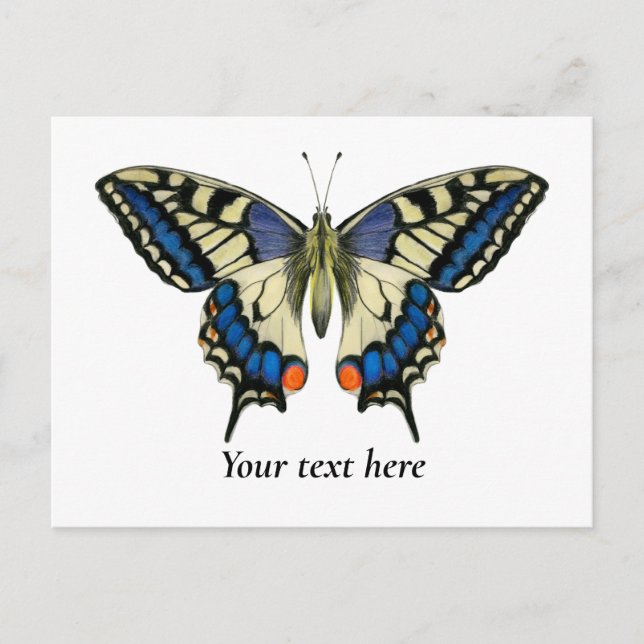Frack Butterfly Aquarellbilder Postkarte (Vorderseite)