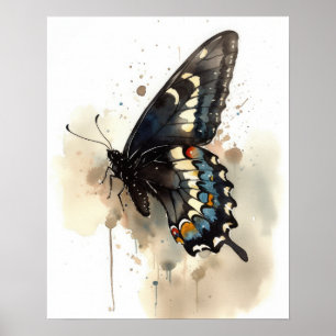 Frack Butterfly Art Print Poster