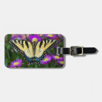 Frack Butterfly auf dem Fleck