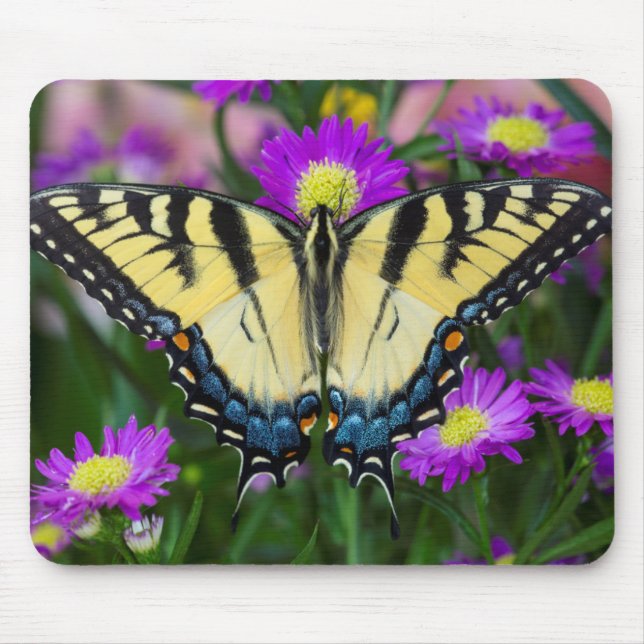 Frack Butterfly auf dem Fleck Mousepad (Vorne)