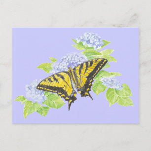 Frack Butterfly auf der Blume Hydrangea Postkarte