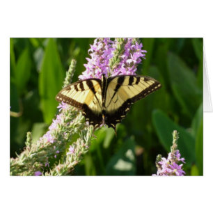 Frack Butterfly auf Lila Wildblumen
