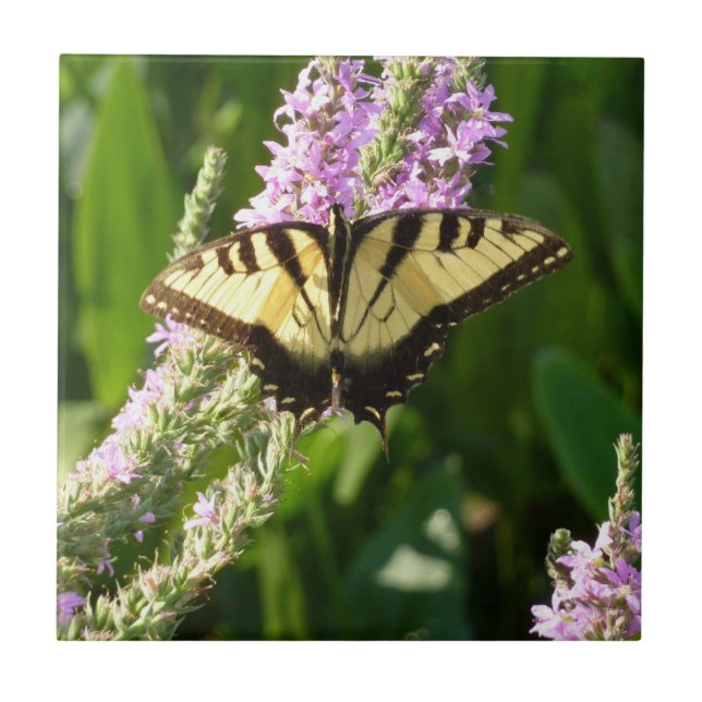 Frack Butterfly auf Lila Wildblumen Fliese (Vorderseite)