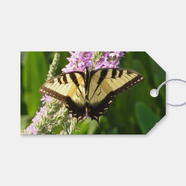 Frack Butterfly auf Lila Wildblumen Geschenkanhänger (Vorderseite (Horizontal))