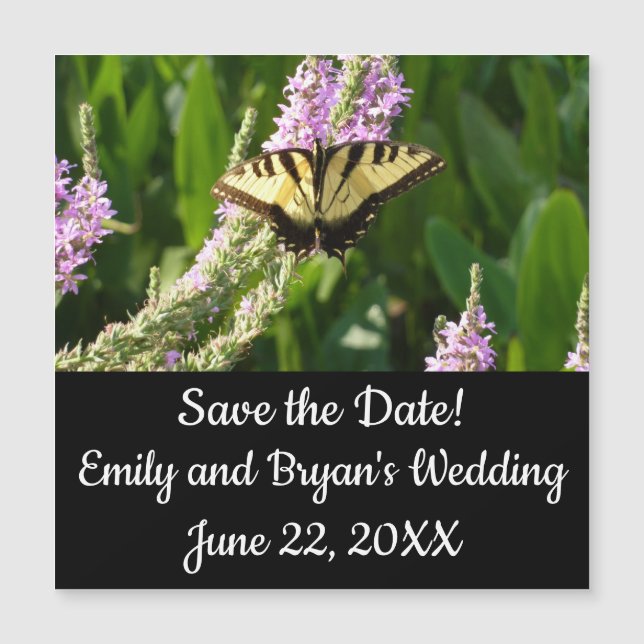 Frack Butterfly auf Lila Wildblumen Magnetkarte (Vorderseite)