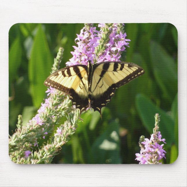 Frack Butterfly auf Lila Wildblumen Mousepad (Vorne)