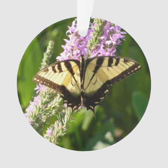 Frack Butterfly auf Lila Wildblumen Ornament (Vorderseite)