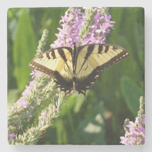 Frack Butterfly auf Lila Wildblumen Steinuntersetzer (Vorderseite)