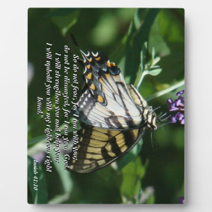 Frack Butterfly Blume Bibel Foto Plaque Fotoplatte