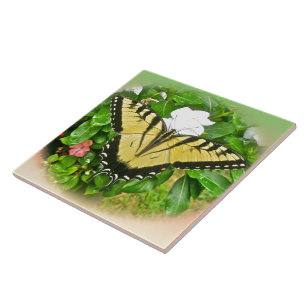Frack Butterfly - Blume Fliese