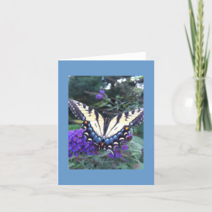 Frack Butterfly Card 2 Karte