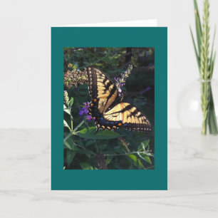 Frack Butterfly Card Karte