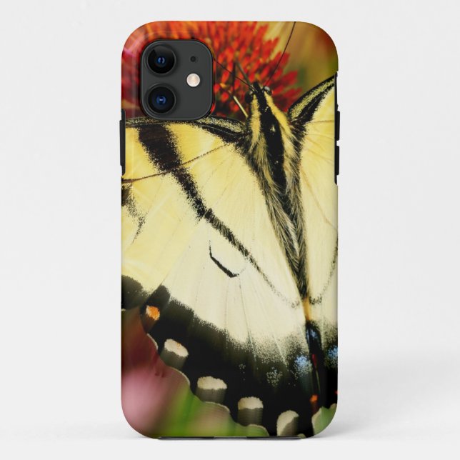Frack Butterfly Case-Mate iPhone Hülle (Rückseite)