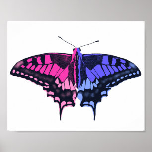 Frack Butterfly für Allesexuelle Poster