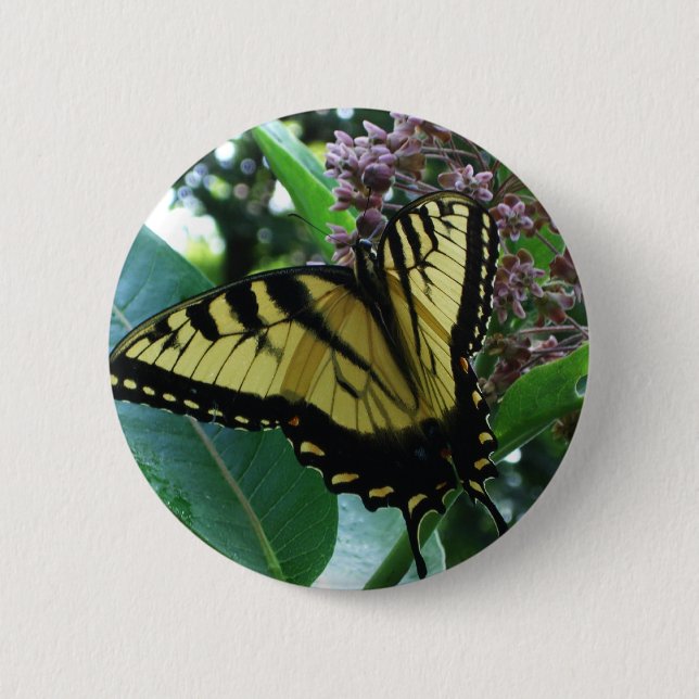 Frack Butterfly I auf Milkweed in Shenandoah Button (Vorderseite)