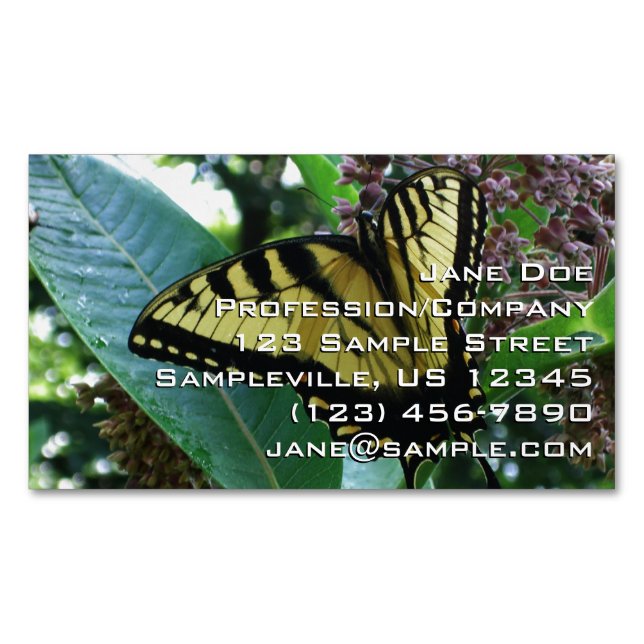 Frack Butterfly I auf Milkweed in Shenandoah Magnetische Visitenkarte (Vorderseite)