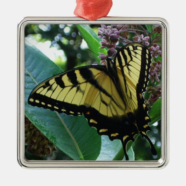 Frack Butterfly I auf Milkweed in Shenandoah Silbernes Ornament (Vorne)