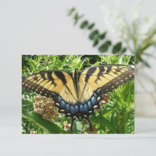 Frack Butterfly II in Shenandoah