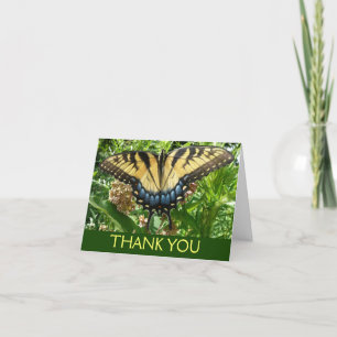 Frack Butterfly II in Shenandoah Dankeskarte