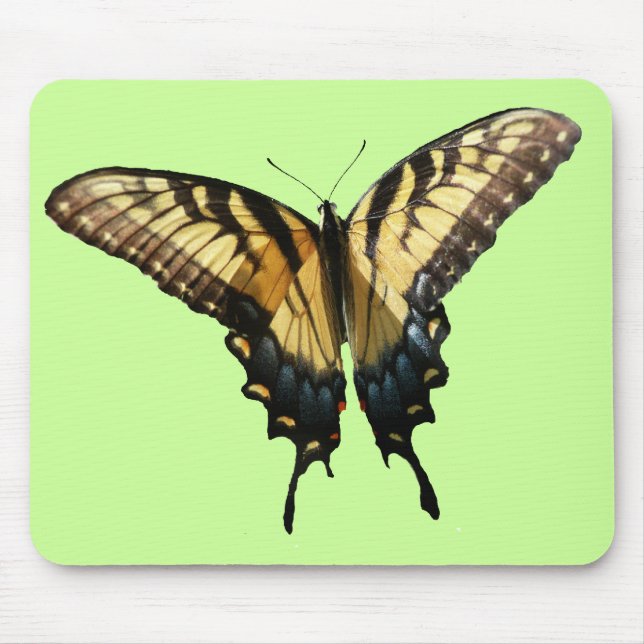 Frack Butterfly III Schönes farbiges Foto Mousepad (Vorne)