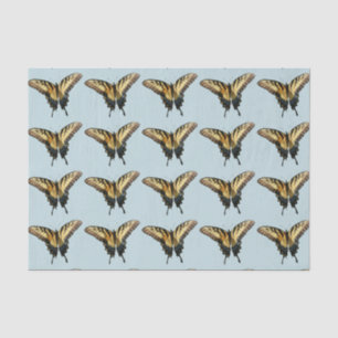 Frack Butterfly III Schönes farbiges Foto Seidenpapier