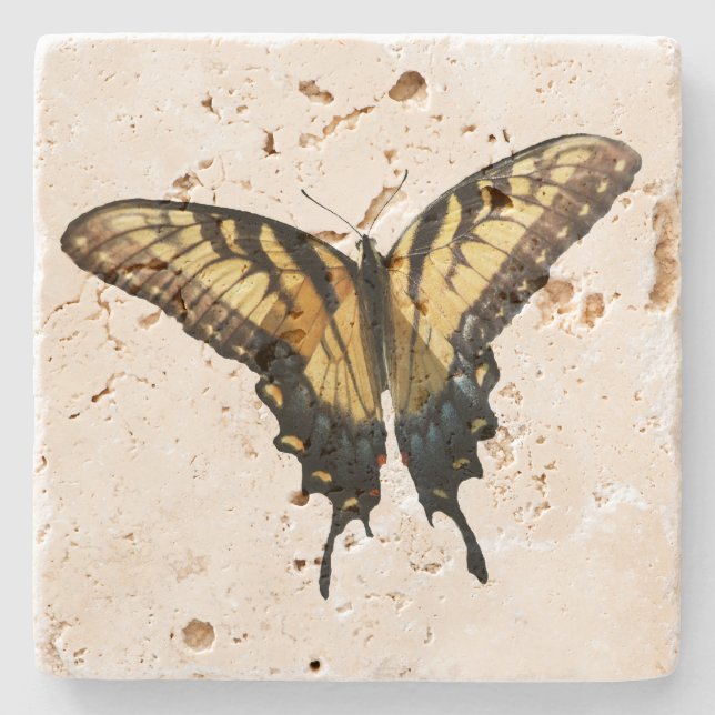 Frack Butterfly III Schönes farbiges Foto Steinuntersetzer (Vorderseite)
