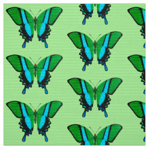 Frack Butterfly in Grün, Türkis und Schwarz Stoff