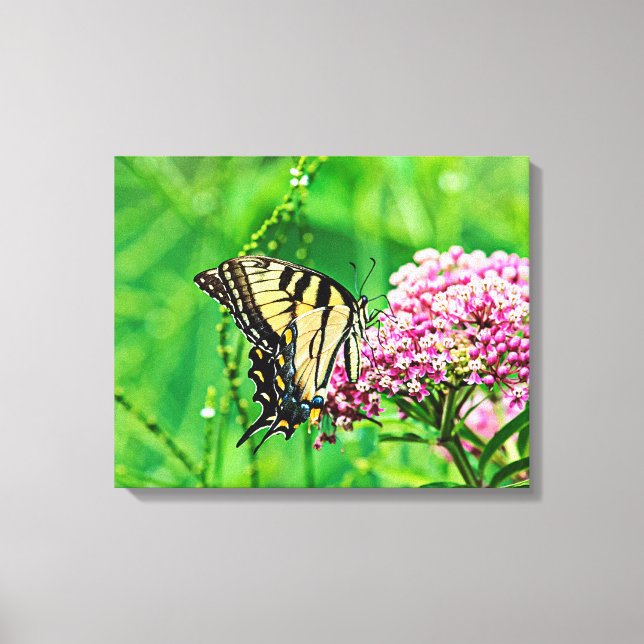 Frack Butterfly Leinwanddruck (Vorderseite)