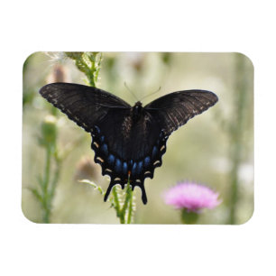 Frack Butterfly Magnet