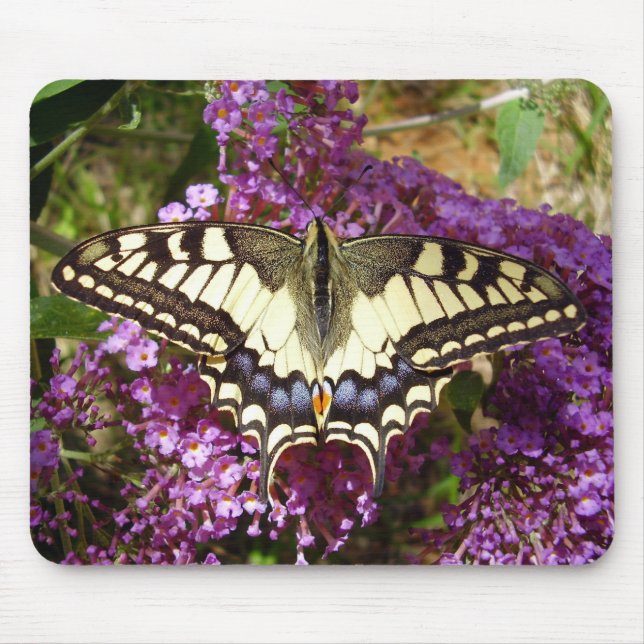 Frack Butterfly Mouse Mat Mousepad (Vorne)